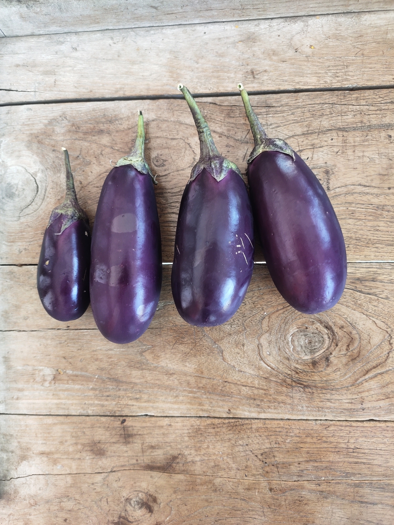 Brinjal