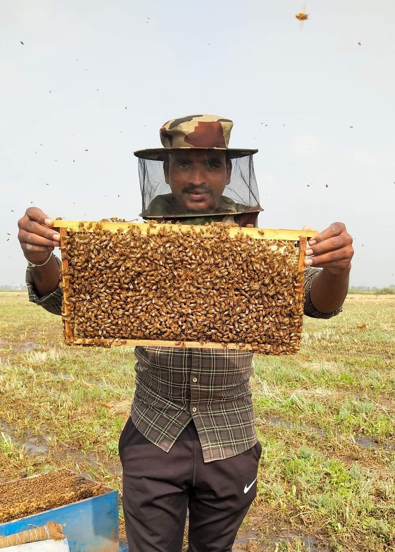 SS Organic Honey