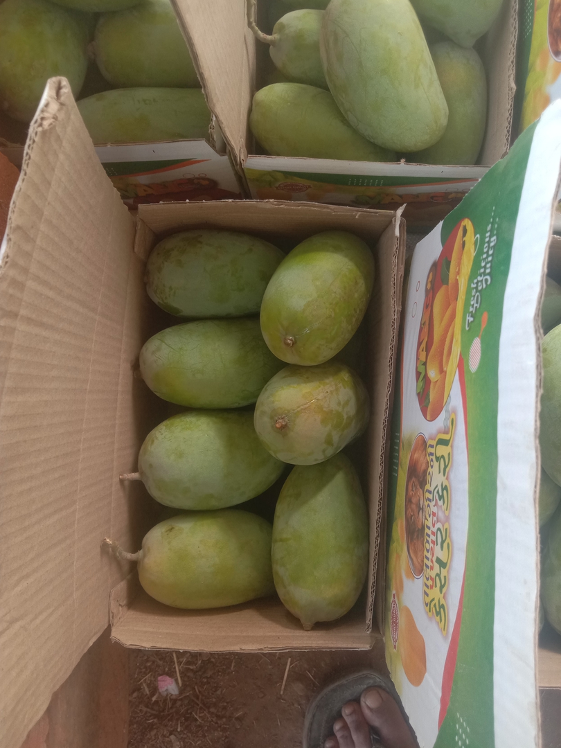 Talala Mango