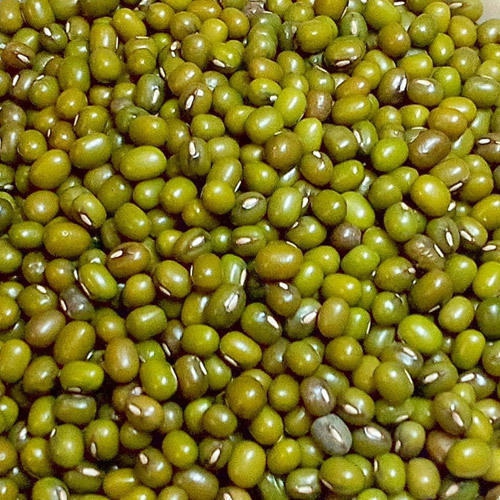 Moong Green Grain