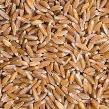 khapli gahu