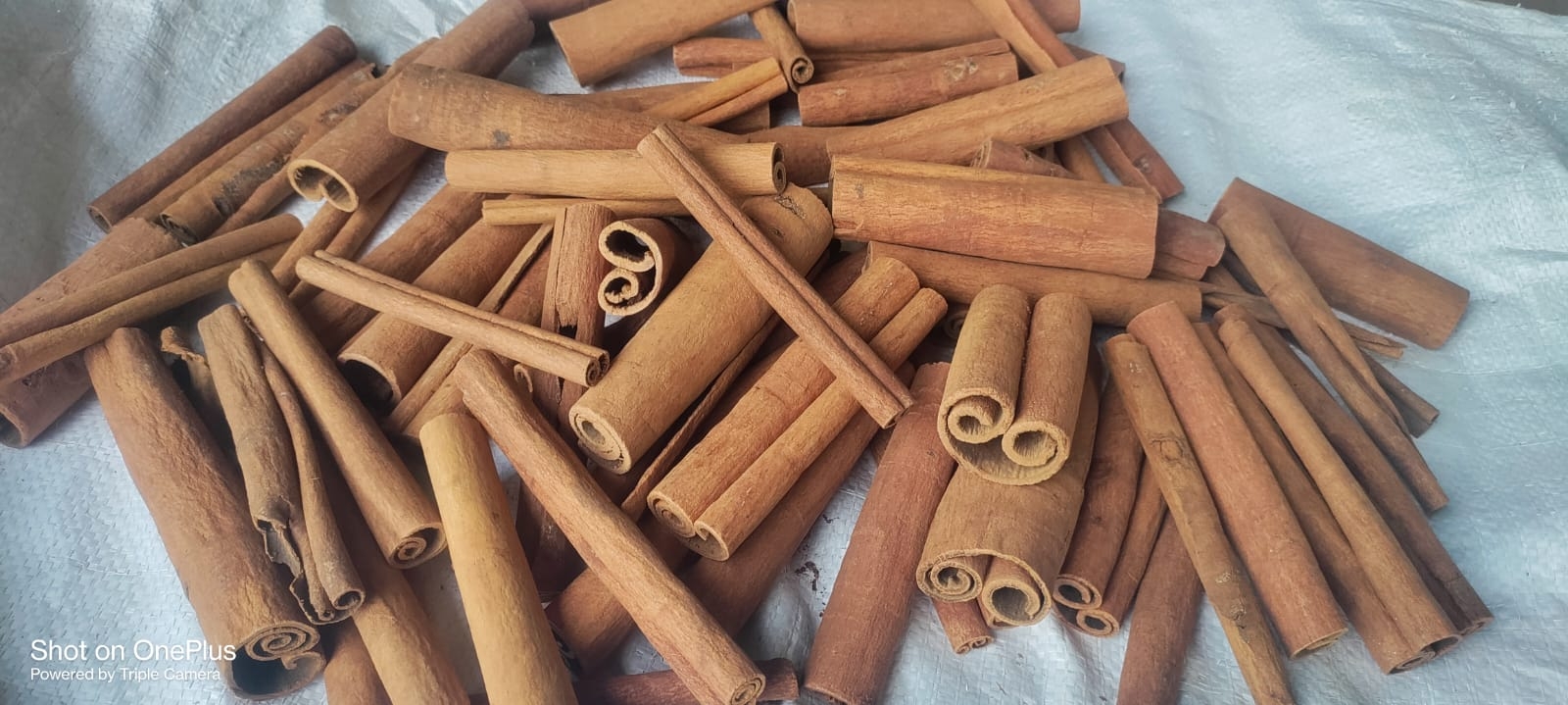 Cinnamon